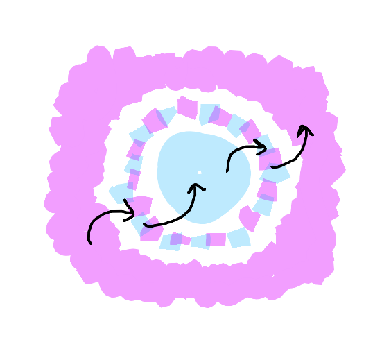 Single cellular diagram showing healthy territory relationship. Known nucleus empty, Knowable membrane shows clear but permeable boundary, Unknown field remains open. Bidirectional arrows at boundaries suggest easy exchange. The whole demonstrates how proper spacing enables life.